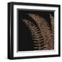 Fern I (on black)-null-Framed Art Print