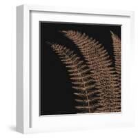 Fern I (on black)-null-Framed Art Print