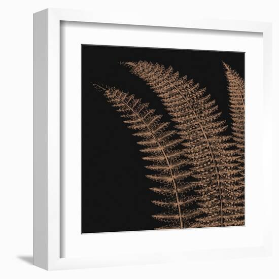 Fern I (on black)-null-Framed Art Print