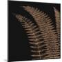 Fern I (on black)-null-Mounted Art Print