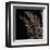 Fern I (on black)-Botanical Series-Framed Giclee Print