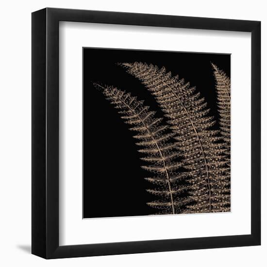 Fern I (on black)-Botanical Series-Framed Giclee Print