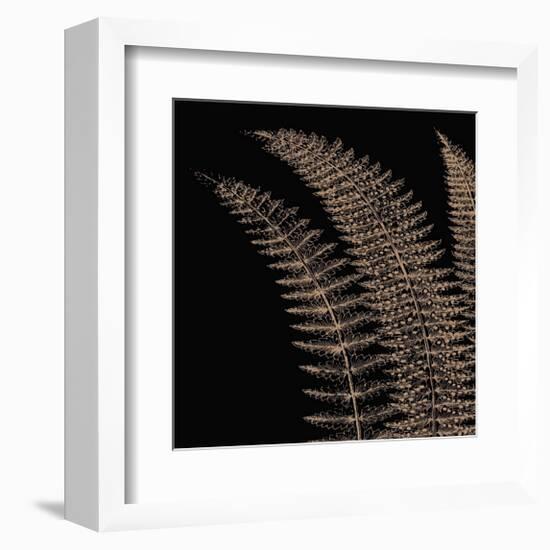 Fern I (on black)-Botanical Series-Framed Giclee Print