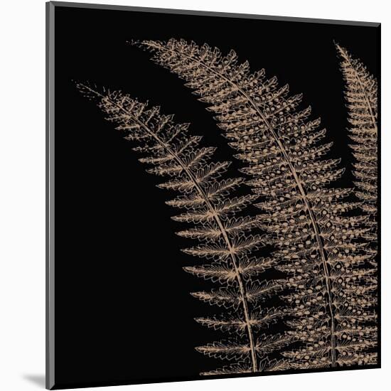 Fern I (on black)-Botanical Series-Mounted Giclee Print