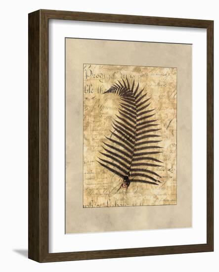 Fern I-Amy Weaver-Framed Art Print