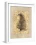 Fern I-Amy Weaver-Framed Art Print