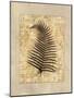 Fern I-Amy Weaver-Mounted Art Print