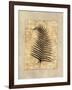 Fern I-Amy Weaver-Framed Art Print