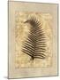 Fern I-Amy Weaver-Mounted Art Print