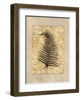 Fern I-Amy Weaver-Framed Art Print