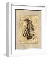 Fern I-Amy Weaver-Framed Art Print