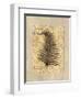 Fern I-Amy Weaver-Framed Art Print