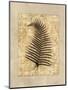 Fern I-Amy Weaver-Mounted Art Print