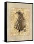 Fern I-Amy Weaver-Framed Stretched Canvas