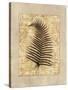 Fern I-Amy Weaver-Stretched Canvas