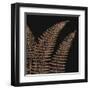 Fern II (on black)-null-Framed Art Print