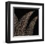 Fern II (on black)-Botanical Series-Framed Giclee Print