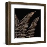 Fern II (on black)-Botanical Series-Framed Giclee Print