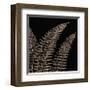 Fern II (on black)-Botanical Series-Framed Giclee Print