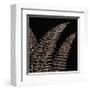 Fern II (on black)-Botanical Series-Framed Giclee Print