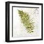 Fern II-Asia Jensen-Framed Art Print