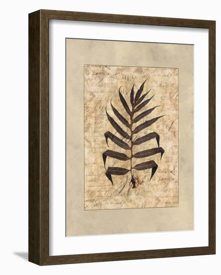 Fern II-Amy Weaver-Framed Art Print