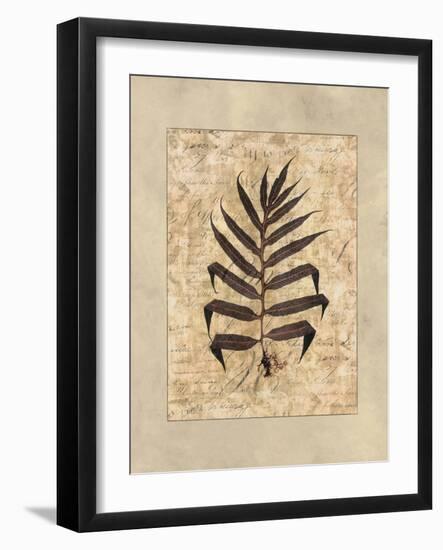 Fern II-Amy Weaver-Framed Art Print