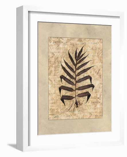 Fern II-Amy Weaver-Framed Art Print