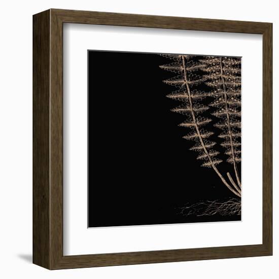 Fern III (on black)-Botanical Series-Framed Giclee Print