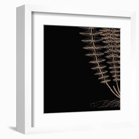 Fern III (on black)-Botanical Series-Framed Giclee Print