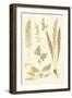 Fern Impressions III-Henry Bradbury-Framed Art Print