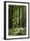 Fern in Muir Woods, Marin Headlands, California-Anna Miller-Framed Photographic Print