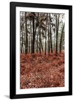 Fern in the autumn forest-By-Framed Photographic Print