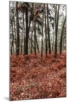 Fern in the autumn forest-By-Mounted Photographic Print