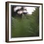 Fern in the botanical garden in Bielefeld,-Nadja Jacke-Framed Photographic Print