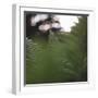 Fern in the botanical garden in Bielefeld,-Nadja Jacke-Framed Photographic Print