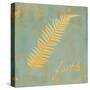 Fern Inspiration-Booker Morey-Stretched Canvas