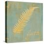 Fern Inspiration-Booker Morey-Stretched Canvas