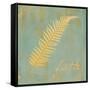 Fern Inspiration-Booker Morey-Framed Stretched Canvas