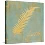 Fern Inspiration-Booker Morey-Stretched Canvas