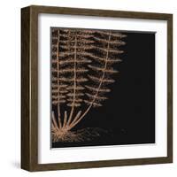 Fern IV (on black)-null-Framed Art Print