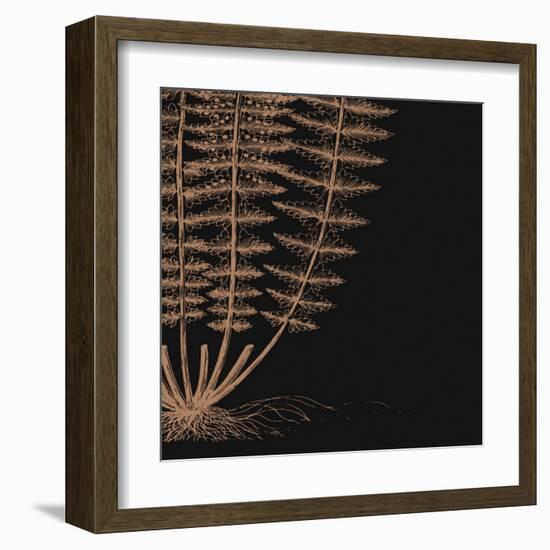 Fern IV (on black)-null-Framed Art Print