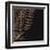 Fern IV (on black)-null-Framed Art Print