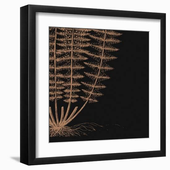 Fern IV (on black)-null-Framed Art Print