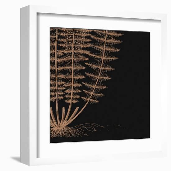 Fern IV (on black)-null-Framed Art Print