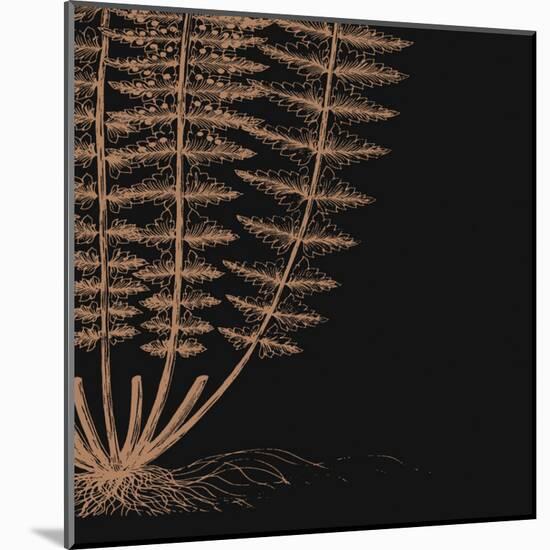 Fern IV (on black)-null-Mounted Art Print