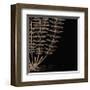 Fern IV (on black)-Botanical Series-Framed Giclee Print