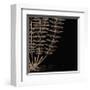 Fern IV (on black)-Botanical Series-Framed Giclee Print