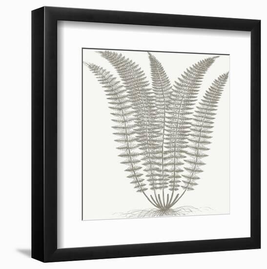 Fern (Ivory & Burlap)-Botanical Series-Framed Art Print