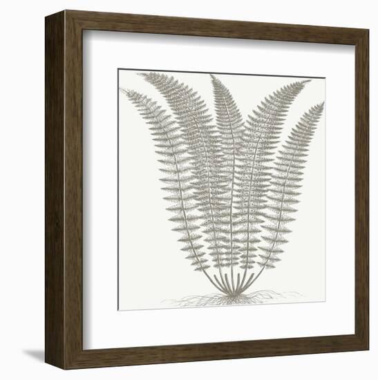 Fern (Ivory & Burlap)-Botanical Series-Framed Art Print